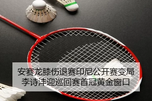 安赛龙膝伤退赛印尼公开赛变局 李诗沣迎巡回赛首冠黄金窗口